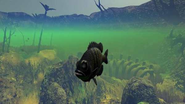 Fish Feed & Shark Grow! Feed Growing Fish™ screenshot 4