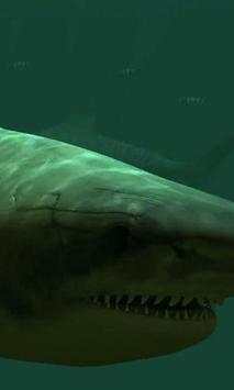 Tiger Sharks live wallpaper screenshot 2