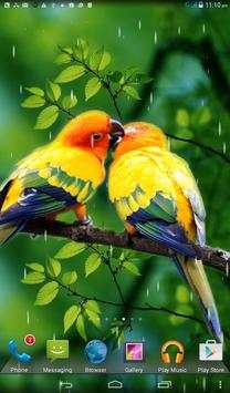 Rainy Bird Live Wallpaper screenshot 2