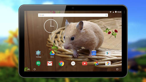 Hamster Live Wallpapers screenshot 11