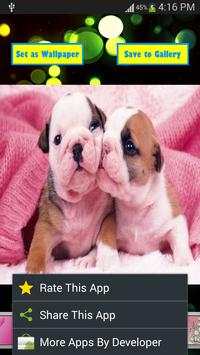 Pink Girly Wallpapers screenshot 3