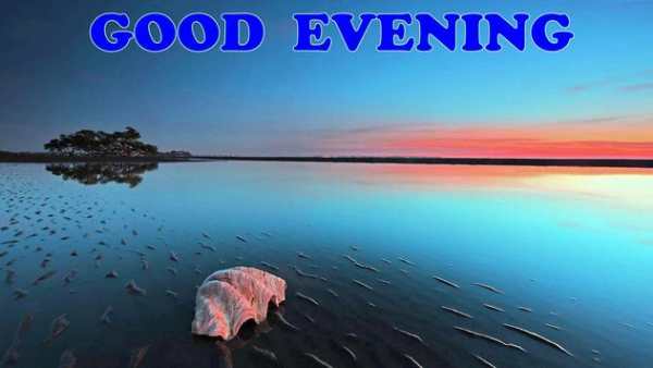 Good Morning Evening wishes images Gif screenshot 4
