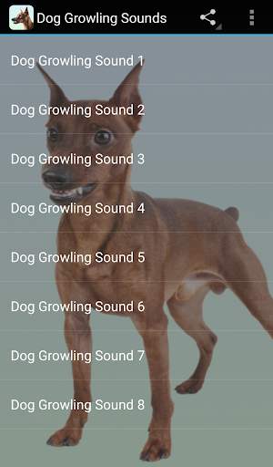 Dog Growling Sounds screenshot 1