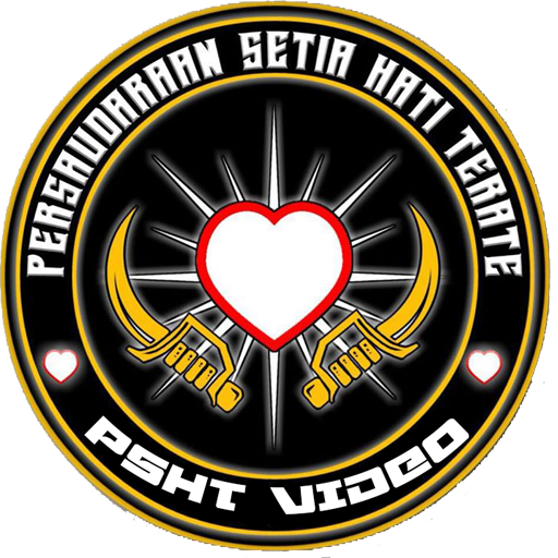 Video PSHT icon