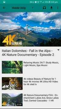 Musicbee - Free music video player screenshot 1