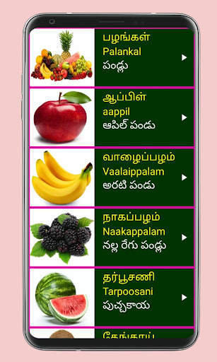 Learn Tamil From Telugu screenshot 7