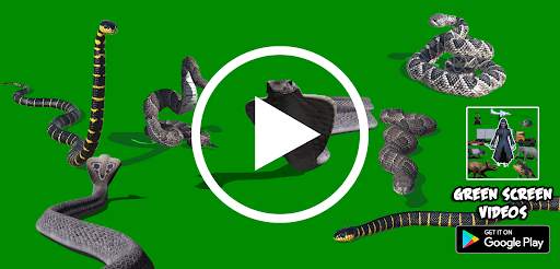 Green Screen Videos screenshot 4