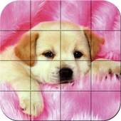 Puzzle - Puppies 1.27