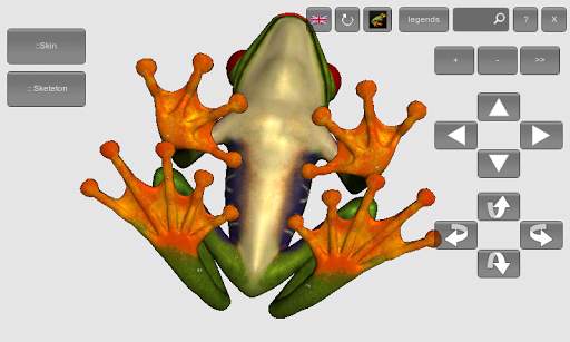 3D Frog Skeleton screenshot 5