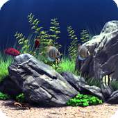 Aquarium Pack 2 Wallpaper 2.6
