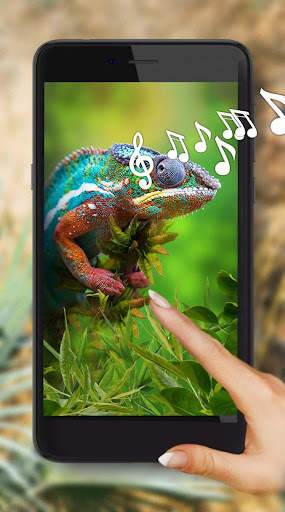 Lizards Live Wallpaper screenshot 1