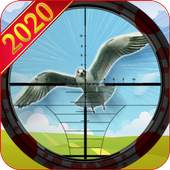 Bird Hunt - Bird Hunting and Shooting game 1.0