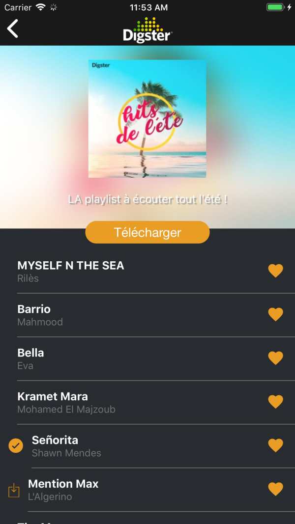 DIGSTER MAROC -MUSIC screenshot 5