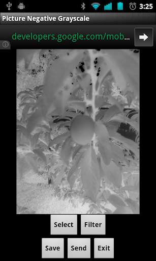 Picture Negative Grayscale screenshot 2