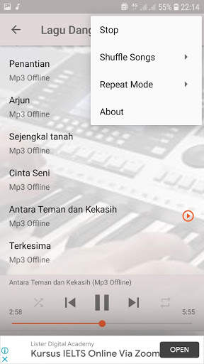 Lagu Dangdut Orgen Tunggal Offline screenshot 5