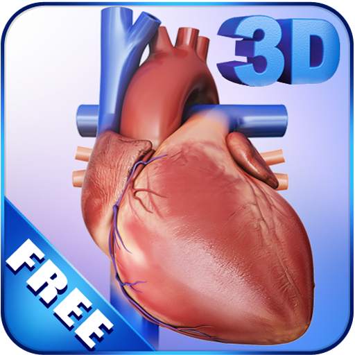 My Heart Anatomy 1.4