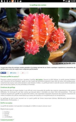 Au Cactus screenshot 18