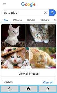 X Browser screenshot 3