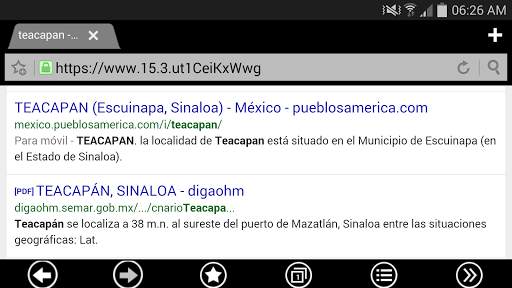 THEME METRO FOR BOAT BROWSER screenshot 4