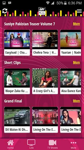 ARY MUSIK screenshot 3