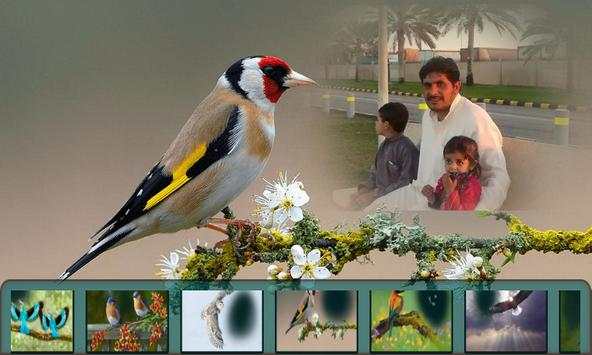 Birds Photo Frames स्क्रीनशॉट 2