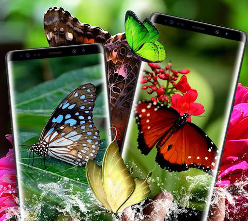 Butterflies Magic Touch screenshot 3