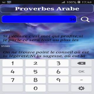 Proverbes Arabe screenshot 7