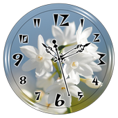 Spring Flower Clock Live WP icon