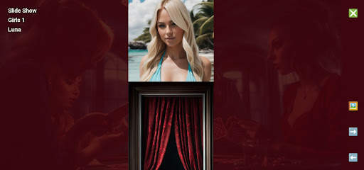 Adult Sexy Bikini Girls Poker screenshot 3