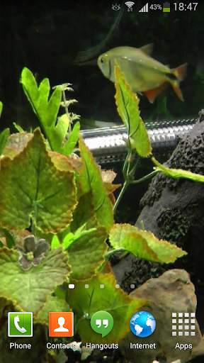 Fish Live Wallpaper HD 2 screenshot 2