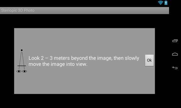 Stereopic 3D Camera screenshot 4