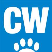 Cat World
