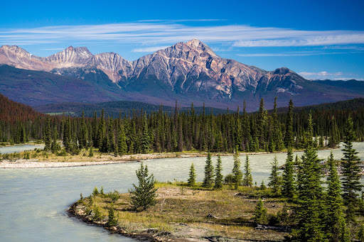 Nature Live Wallpaper screenshot 10