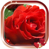 Love Magic HD Live Wallpaper icon
