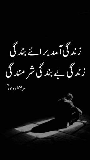 Sufi Poetry Status screenshot 2