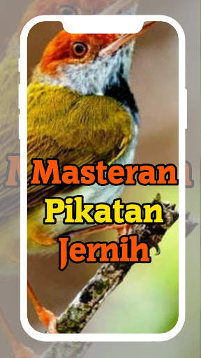 Suara Burung Prenjak Masteran dan Pancingan screenshot 4