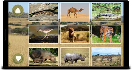 Animal Sounds screenshot 8