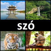 4 kép 1 szó 2020 icon