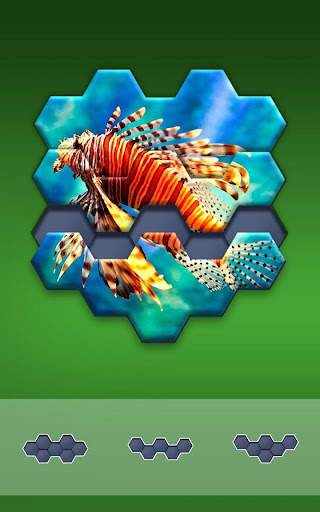 Block Hexa Puzzle - jigsaw puzzles for free screenshot 4