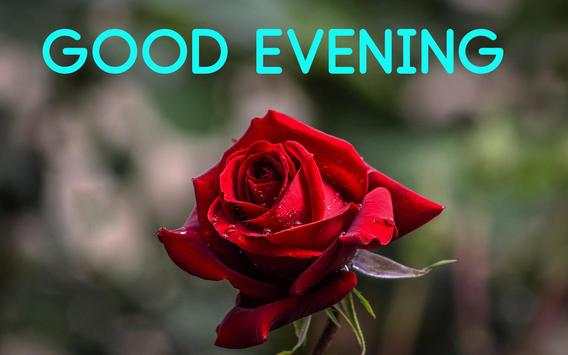 Good Morning Evening wishes images Gif screenshot 6