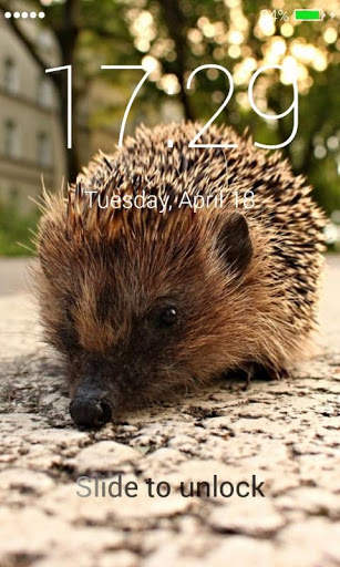 Hedgehog Lock Screen screenshot 4