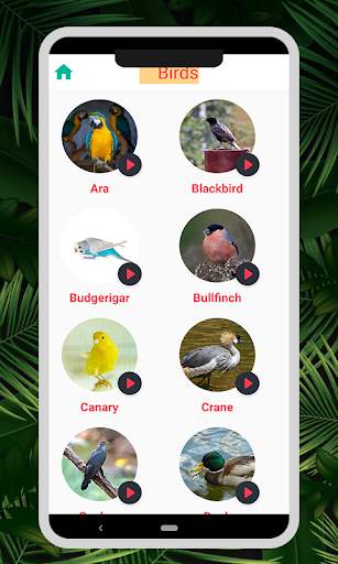 Animal & Bird Sounds : Ringtones स्क्रीनशॉट 1