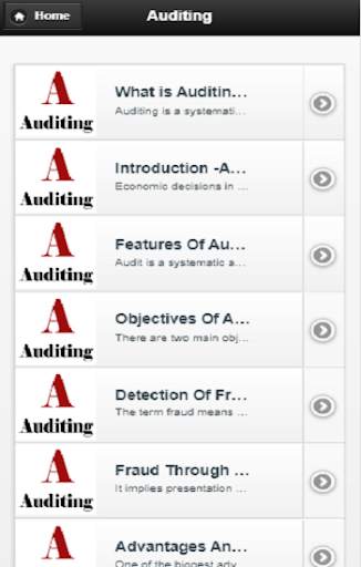 Auditing скриншот 1