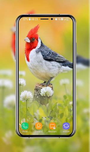 Birds Wallpaper screenshot 16