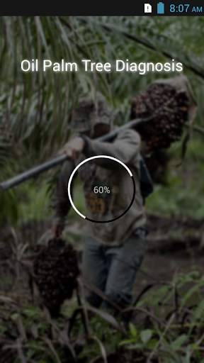 Oil Palm Diagnosis скриншот 1