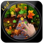 Leaf Live Wallpaper 1.2
