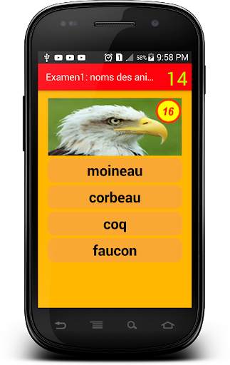 Examen 1 : noms des animaux screenshot 4