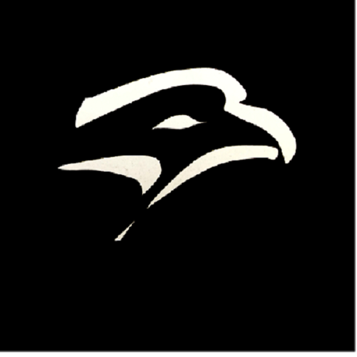 Hawkeye Lite Ver 2 icon