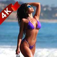 Hot Bikini Girl Wallpaper | Sexy Girl Images logo