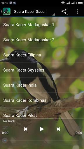 Kacer Gacor Masteran screenshot 2